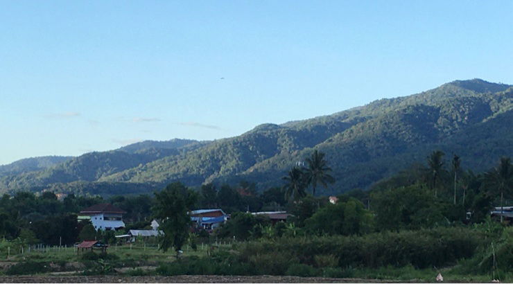 รูป ขายสวนต้นไม้สักติดแม่น้ำน่าน วิวเขาดอยภูคา - รูปที่ 28/30