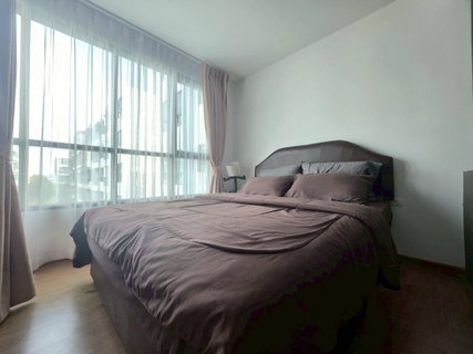 รูปภาพ ให้เช่า 1 ห้องนอน 1 ห้องน้ำ Centrio Condo ใจกลางภูเก็ต เพียง 13,000 บาท/เดือน