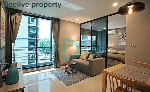 DL007550 Condo for rent, Tree Condo Sukhumvit 50 near BTS On Nut, ready to move in, call urgently 0656133286 LineID @655ebbvc