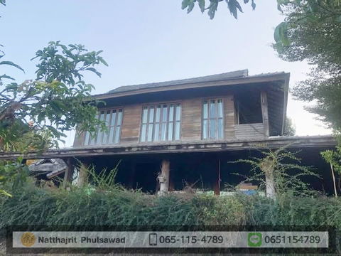 บ้านไม้สัก บนดอย อำเภอแม่ริม  1ไร่ 300 ตรว.ใกล้วิทยาเขตสะลวง