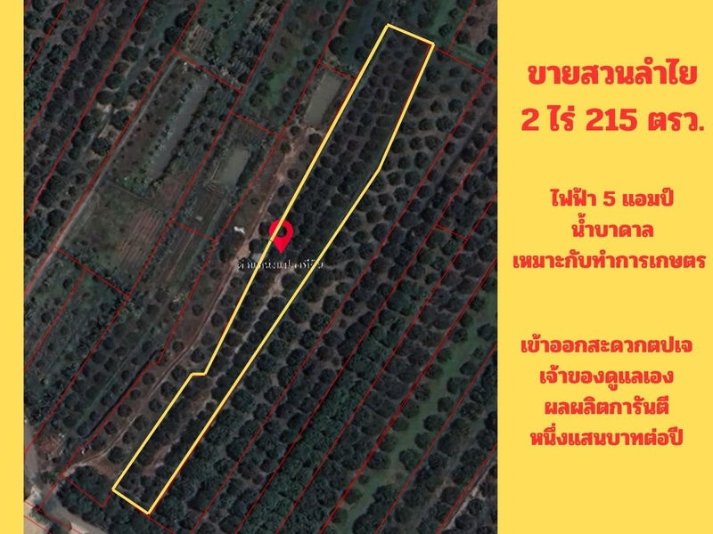 รูป ขายสวนลำไย 2 ไร่ 215 ตรว. ต.ทุ่งปี้ อ.แม่วาง จ.เชียงใหม่ - รูปที่ 2/10