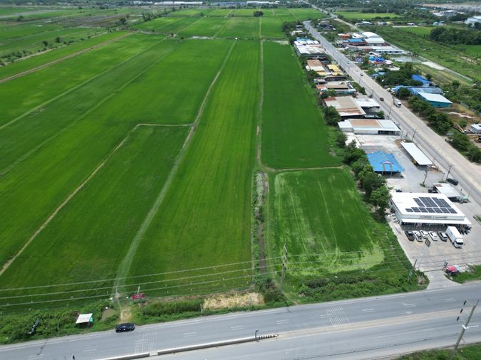 ขายที่ดิน 123-0-50 ไร่ ติดถนนลำลูกกา (คลอง 11) จังหวัดปทุมธานี