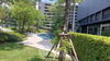 listing thumbnail image 10