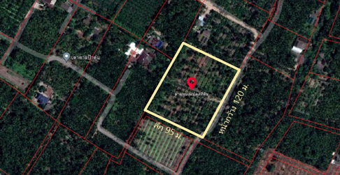 ขาย ที่ดินสวนมะพร้าว  (จอมปลวก – ดอนมะโนรา) ใกล้อัมพวา จ.สมุทรสงคราม