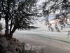 listing thumbnail image 15