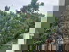listing thumbnail image 4