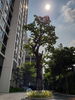 listing thumbnail image 9