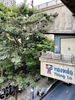 listing thumbnail image 1