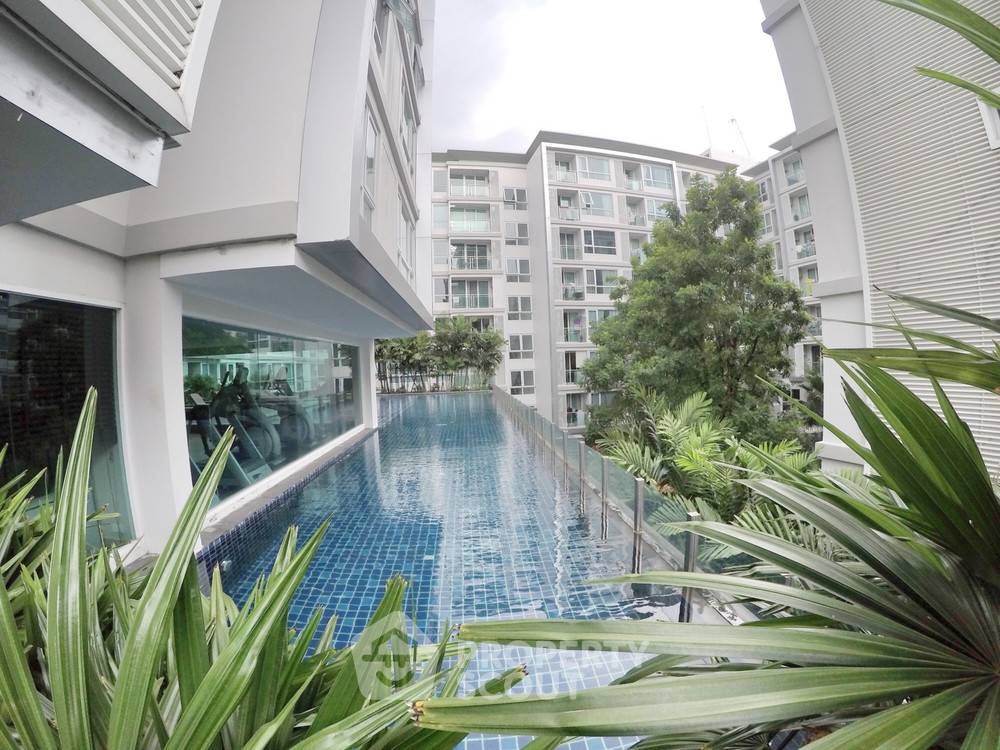 รูป คอนโด 1-ห้องนอน ที่ เมย์แฟร์ เพลส สุขุมวิท 64 ใกล้ BTS ปุณณวิถี (ID 328632) - รูปที่ 9/10