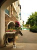 listing thumbnail image 21