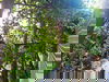 listing thumbnail image 11