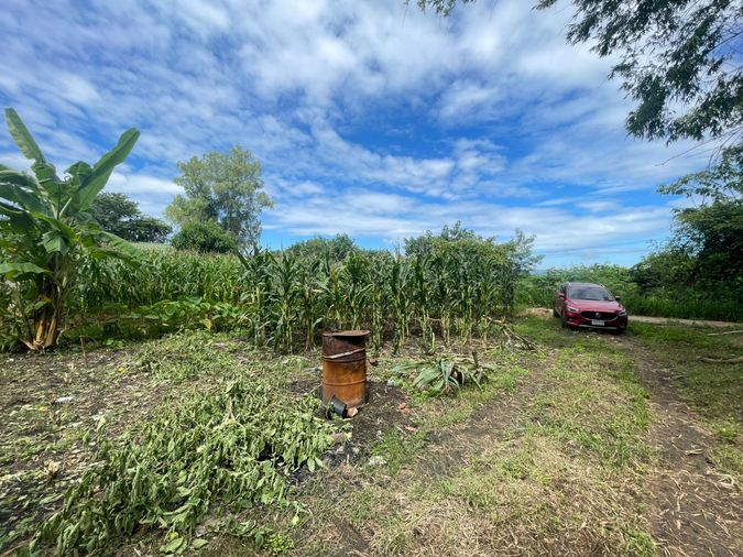 ซื้อ ขายที่ดิน วังไทร ซับเศรษฐี ปากช่อง นครราชสีมา  ใกล้ชุมชน ใกล้วัด ใกล้ My Ozone วิวสวย บรรยากาศดี