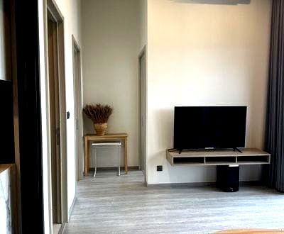 คอนโดให้เช่า : เช่า 30,000 บาท/เดือน 1/1 นอน เดอะ ไลน์ สุขุมวิท101 บีทีเอส ปุณณวิถี