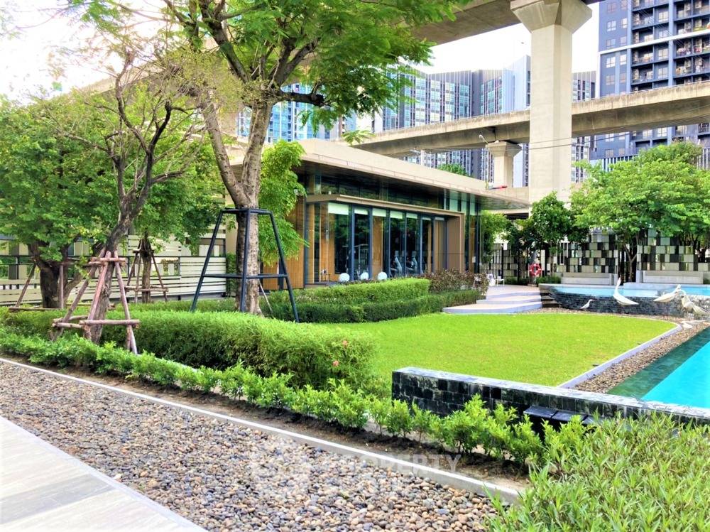 picture 1-BR Condo at The Base Garden Rama 9 near ARL Ramkhamhaeng (ID 1686256) - 14/16
