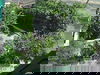 listing thumbnail image 14