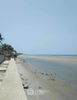 listing thumbnail image 17