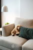 listing thumbnail image 11