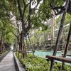 listing thumbnail image 23