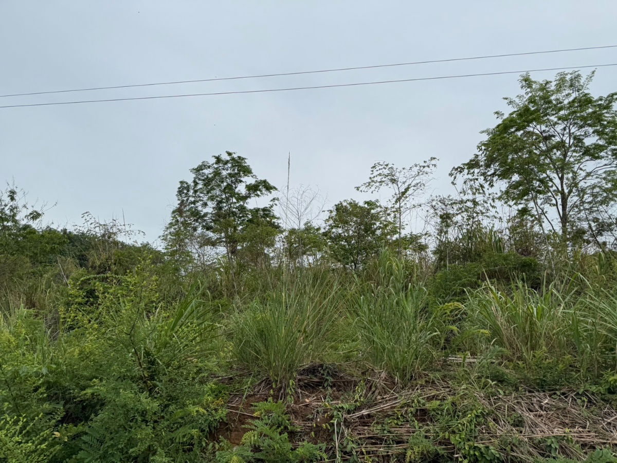 picture Good location land near the main road, Pong Nam Ron District, Chanthab - 3/7
