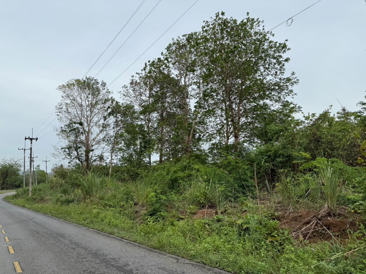 picture Good location land near the main road, Pong Nam Ron District, Chanthab - 5/7