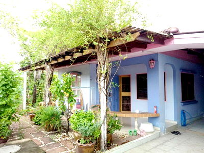 บ้านเดี่ยวให้เช่า : รับสัตว์ 60 ตรว. 240 ตรม.ใกล้สุวรรณภูมิ 2นอน เฟอร์ครบ! 2จอดรถ กิ่งแก้ว35-55 ให้เช่าบ้านเดี่ยว 1น้ำ