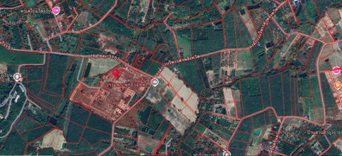 ขายที่ดินเปล่า 53 ตร.ว. ตำบลนาตาขวัญ อำเภอเมือง จังหวัดระยอง