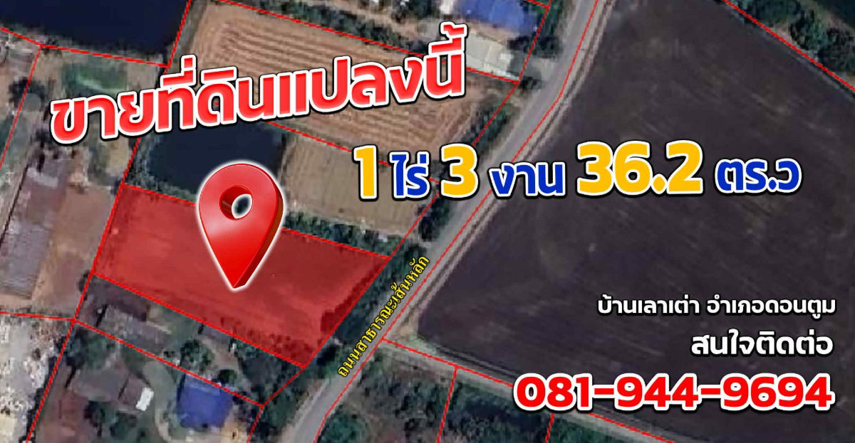รูป ขายด่วนที่ดินทำเลดี บ้านเลาเต่า ต.ห้วยพระ อ.ดอนตูม จ.นครปฐม  - รูปที่ 1/4