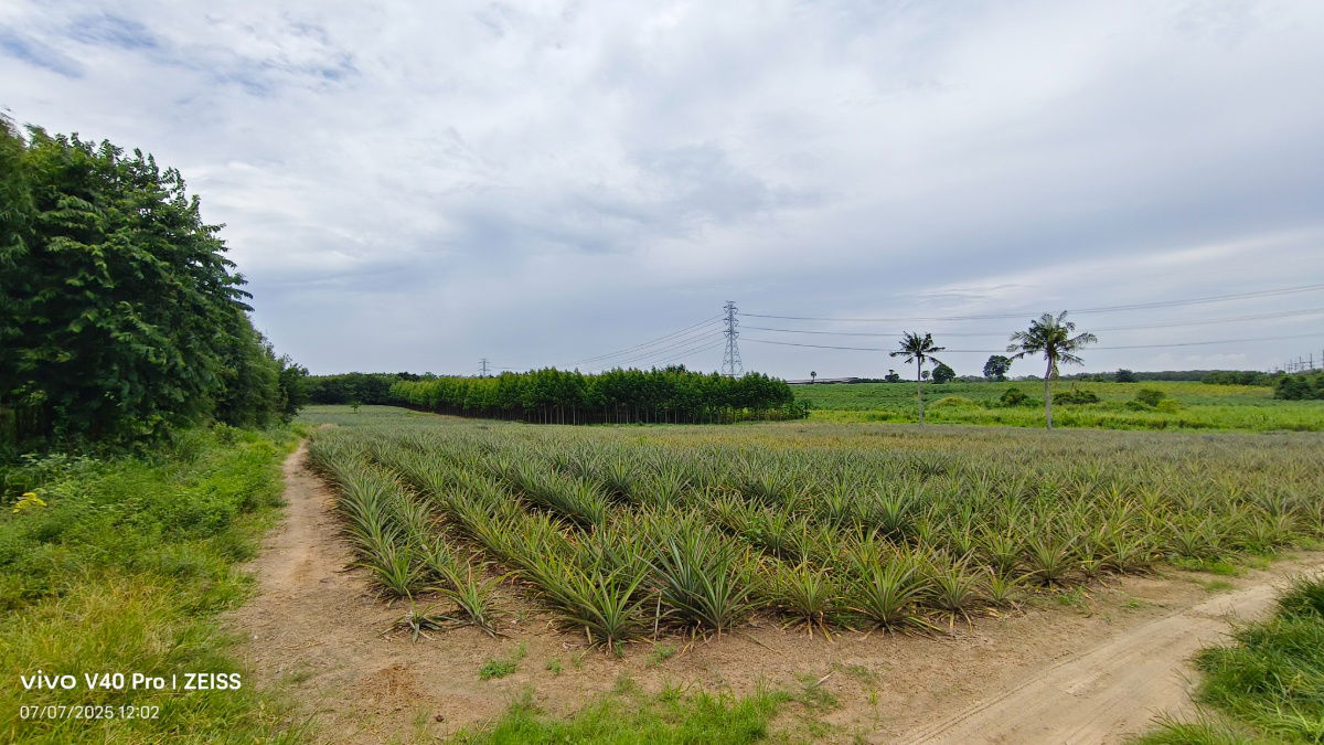 picture Good location Land for sale by Owner - 8/14