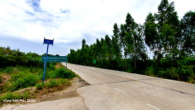 Land for sale Ban Bung Chonburi : Good location Land for sale by Owner