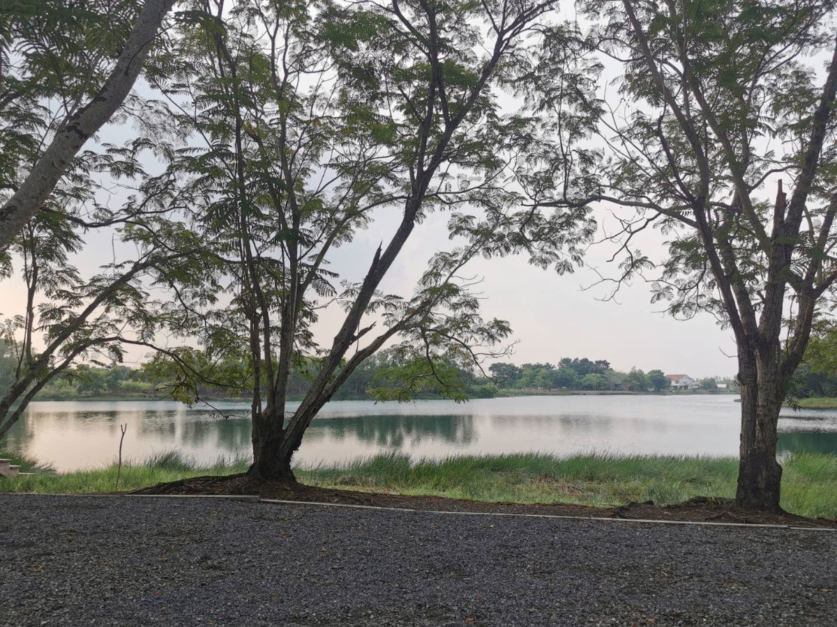 picture Cheap land plots in the project for sale, lower than appraised price - 9/9