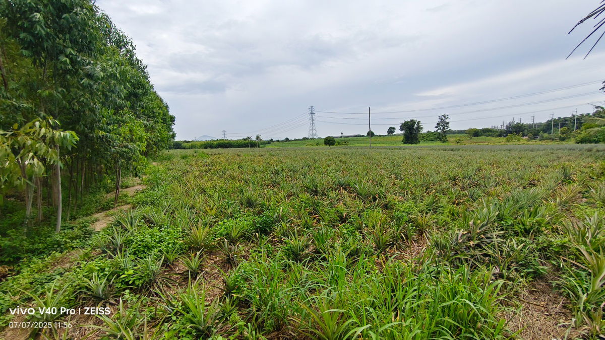 picture Good location Land for sale by Owner - 7/14