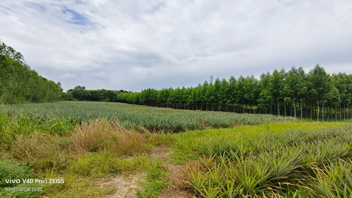 picture Good location Land for sale by Owner - 12/14