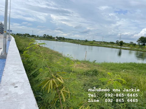 ที่ดินเปล่า โฉนดครุฑแดง ติดนิคมอมตะซิตี้ชลบุรี (ผังสีม่วงจุด)