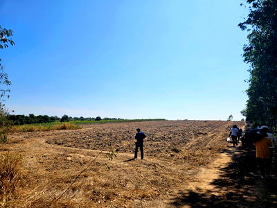 ขายที่ดิน : ด่วน ที่ดินเขาหินซ้อน ฉะเชิงเทรา 43ไร่ 1งาน 32ตารางวา  ในราคาพิเศษ 26,000,000บาท