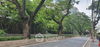 listing thumbnail image 14