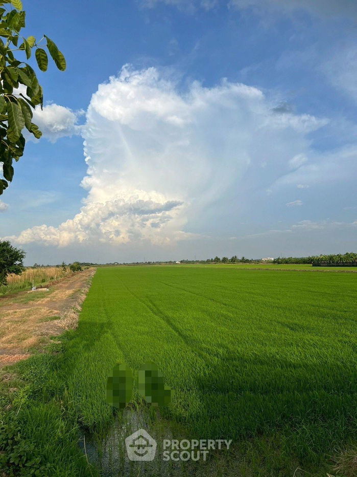 รูป ที่ดินสำหรับปล่อยขาย 11,284 ตารางเมตร แถว ใน ไทรใหญ่ (ID 2193709) - รูปที่ 5/6