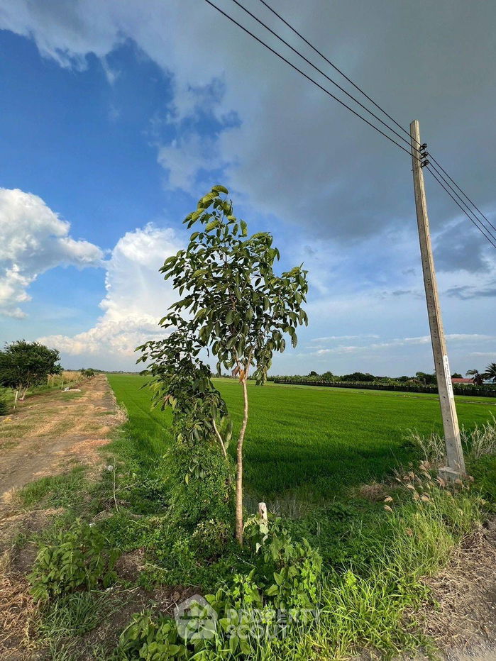 รูป ที่ดินสำหรับปล่อยขาย 11,284 ตารางเมตร แถว ใน ไทรใหญ่ (ID 2193709) - รูปที่ 4/6