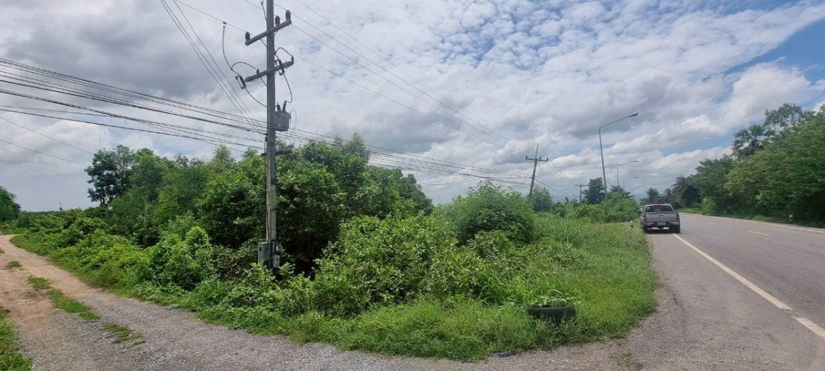 รูป ขายที่ดินเปล่าขนาด 3 ไร่ 1 งาน 55 ตร.ว. ตำบลบางอ้อ อำเภอบ้านนา นครนายก - รูปที่ 5/12
