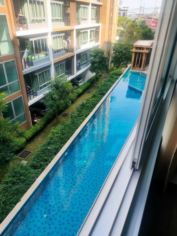 รูป พลัสคอนโด วิวสระว่ายน้ำให้เช่า - รูปที่ 1/12