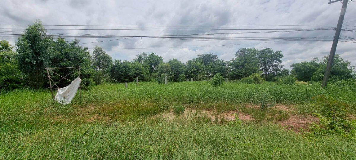 รูป ขายที่ดินเปล่าขนาด 3 ไร่ 1 งาน 55 ตร.ว. ตำบลบางอ้อ อำเภอบ้านนา นครนายก - รูปที่ 8/12