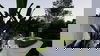 listing thumbnail image 42