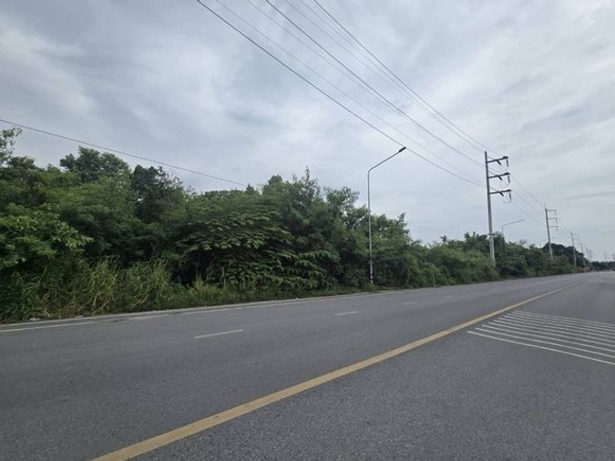 ขายที่ดินเปล่า 8-3-73.3 ไร่ ถนนสวนพริกไทย แยกตึกเหลือง เมืองปทุมธานี ใกล้วัดเสด็จ