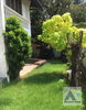 listing thumbnail image 5