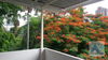 listing thumbnail image 18