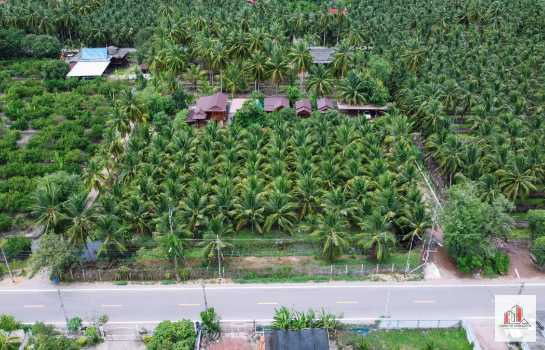 รูป ขาย ที่ดิน ทำเลดี ใกล้ถนนใหญ่ ดอนมะโนราห์ อ.บางคนที จ.สมุทรสงคราม 3 ไร่ 18.4 ตรว พร้อมต้นมะพร้าวน้ำหอม - รูปที่ 12/12