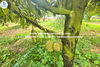 listing thumbnail image 10