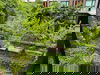 listing thumbnail image 11