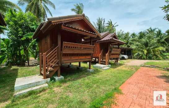 รูป ขาย ที่ดิน ทำเลดี ใกล้ถนนใหญ่ ดอนมะโนราห์ อ.บางคนที จ.สมุทรสงคราม 3 ไร่ 18.4 ตรว พร้อมต้นมะพร้าวน้ำหอม - รูปที่ 8/12