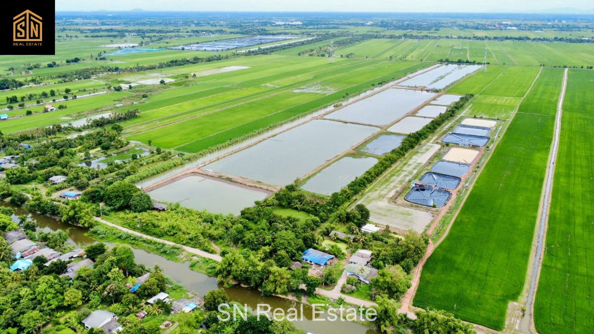 รูป ขายที่ดิน บ่อเลี้ยงปลา อ.บางน้ำเปรี้ยว 117 ไร่   - รูปที่ 10/10