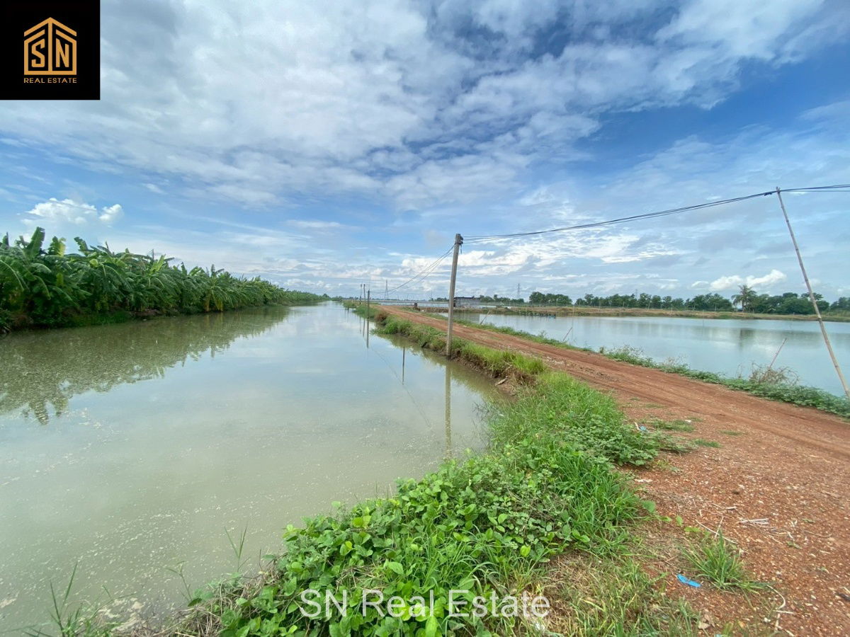 รูป ขายที่ดิน บ่อเลี้ยงปลา อ.บางน้ำเปรี้ยว 117 ไร่   - รูปที่ 2/10